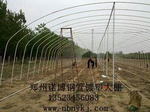 供應(yīng) 大棚 骨架 溫室 大棚 骨架機(jī) 食用菌大棚 骨架