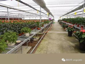 常見的溫室大棚供暖設備