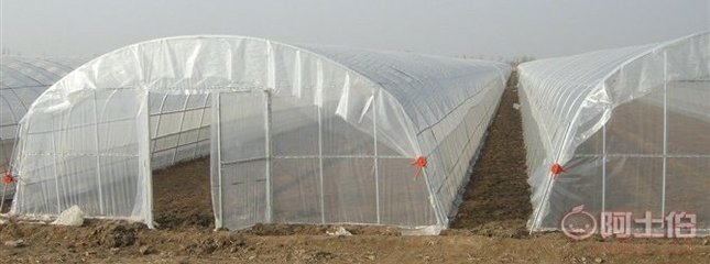 溫室大棚配件與花卉大棚骨架機(jī) 現(xiàn)代化農(nóng)業(yè)生產(chǎn)的堅(jiān)實(shí)支撐