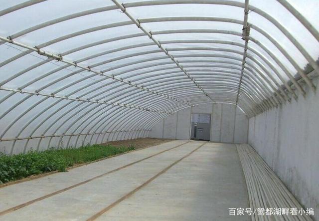 建一個(gè)一畝地的蔬菜大棚需要多少錢？