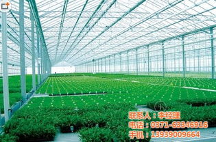 江西溫室大棚配件 鼎鑫溫室 在線咨詢 溫室大棚配件